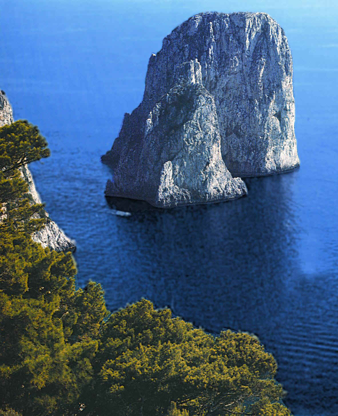 CAPRI.JPG (192340 byte)